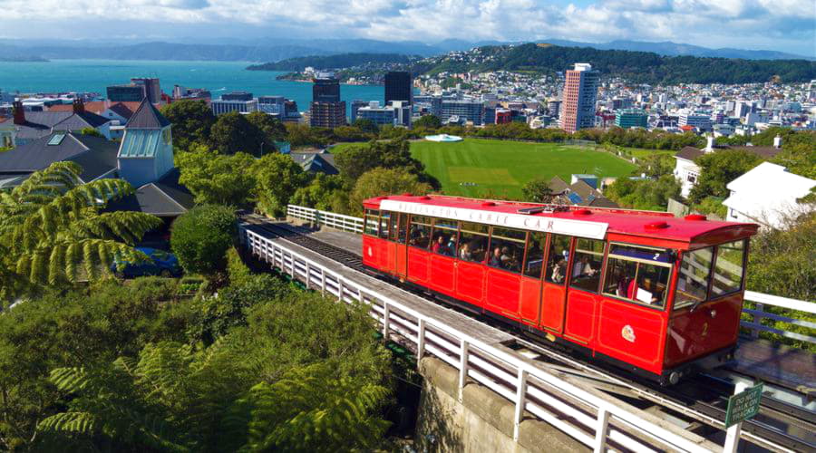 What are the most popular vehicle choices at Wellington airport?